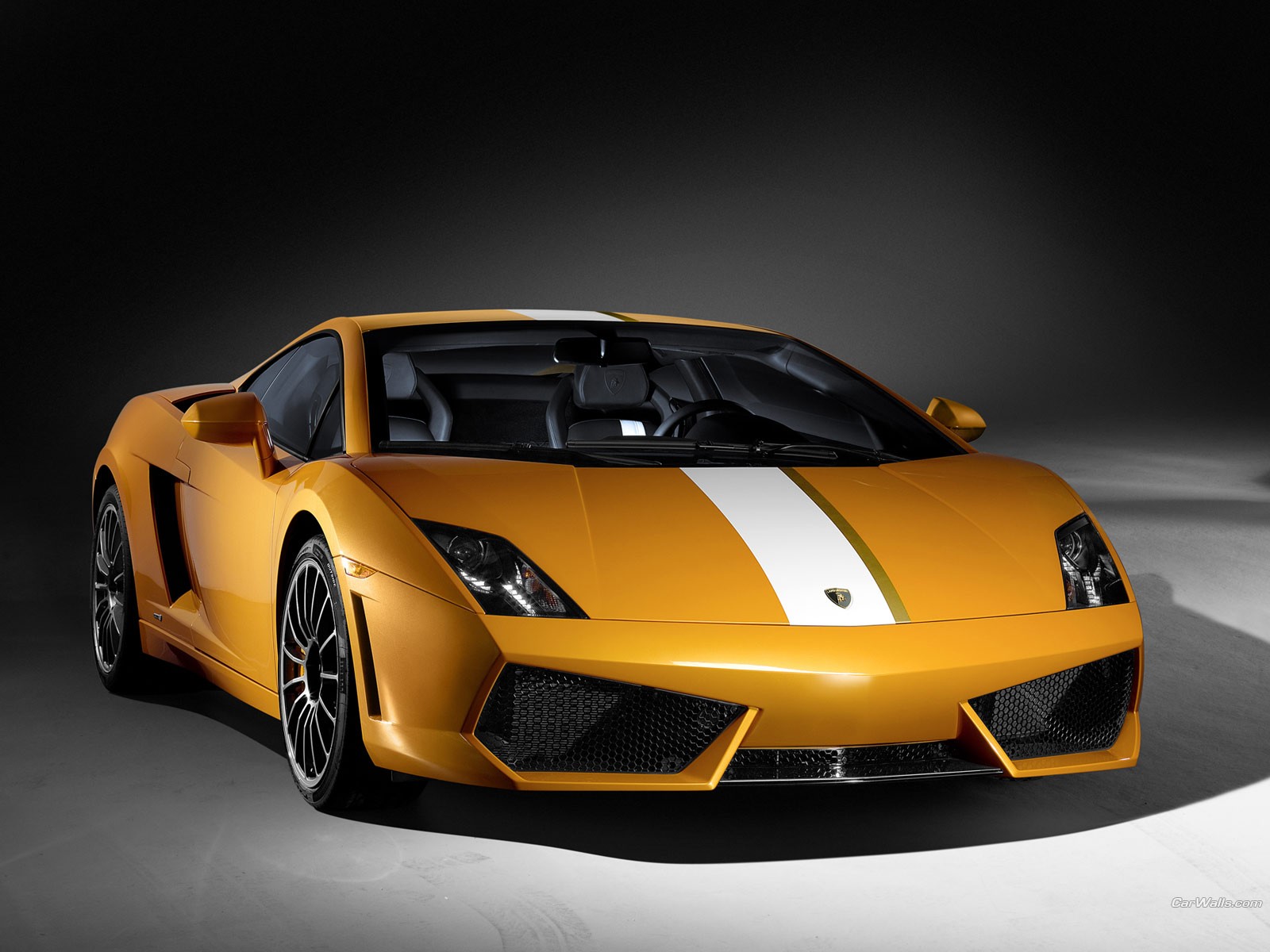 lambo 650-4_r ламбор