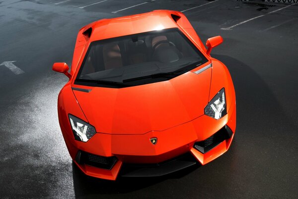 Ядовито ораньжевый спорткар aventador lp700-4